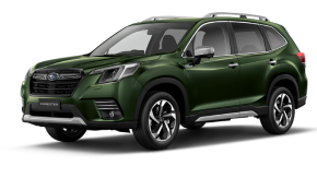 SUBARU FORESTER ESTATE at M T Cars Peterborough